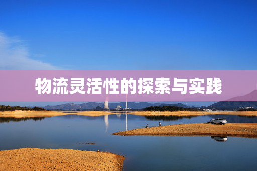 物流灵活性的探索与实践