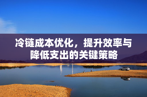 冷链成本优化，提升效率与降低支出的关键策略