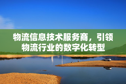 物流信息技术服务商，引领物流行业的数字化转型