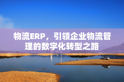 物流ERP，引领企业物流管理的数字化转型之路