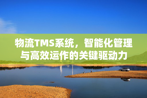 物流TMS系统，智能化管理与高效运作的关键驱动力