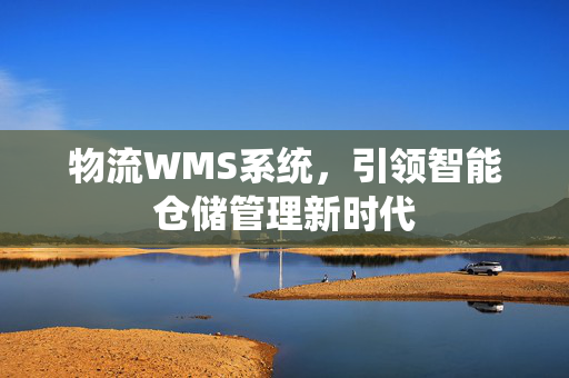 物流WMS系统，引领智能仓储管理新时代