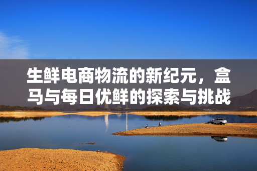 生鲜电商物流的新纪元，盒马与每日优鲜的探索与挑战