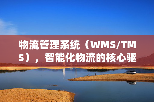 物流管理系统（WMS/TMS），智能化物流的核心驱动力