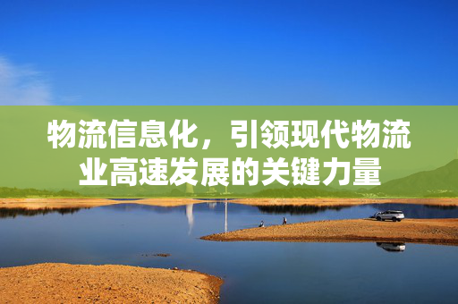 物流信息化，引领现代物流业高速发展的关键力量