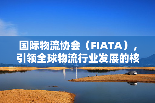 国际物流协会（FIATA），引领全球物流行业发展的核心力量