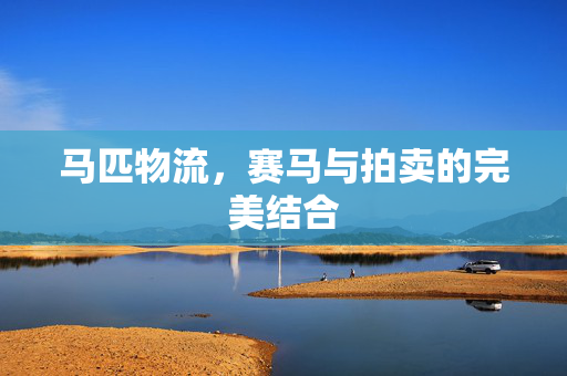 马匹物流，赛马与拍卖的完美结合