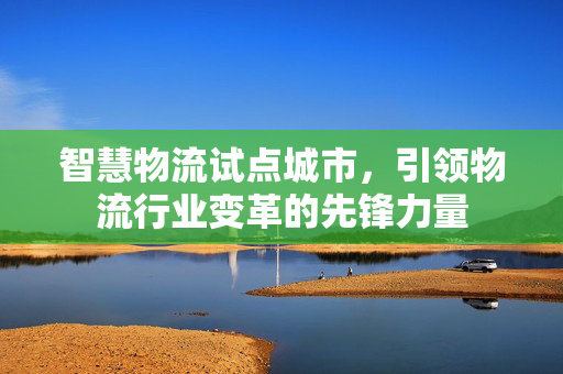 智慧物流试点城市，引领物流行业变革的先锋力量
