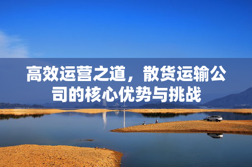 高效运营之道，散货运输公司的核心优势与挑战