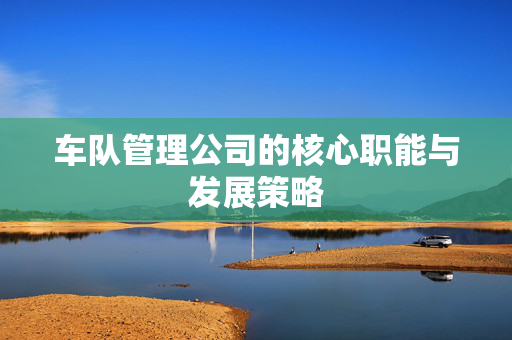 车队管理公司的核心职能与发展策略