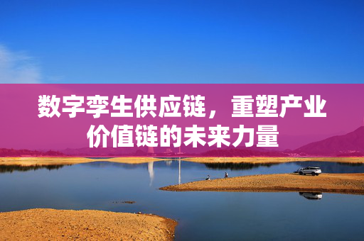 数字孪生供应链，重塑产业价值链的未来力量
