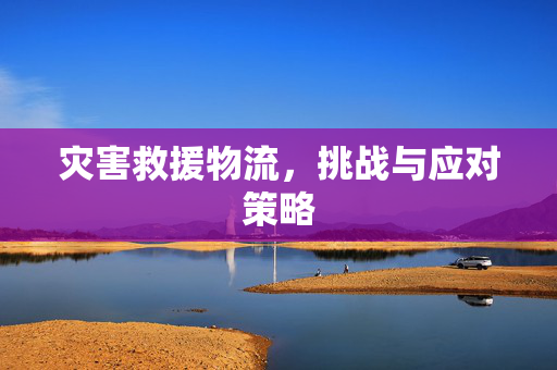 灾害救援物流，挑战与应对策略