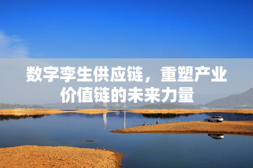 数字孪生供应链，重塑产业价值链的未来力量
