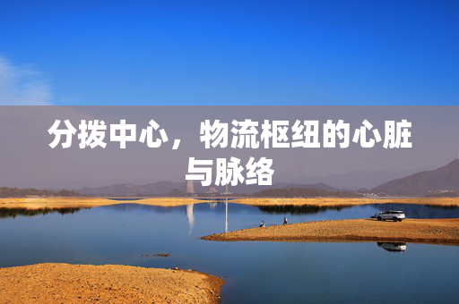 分拨中心，物流枢纽的心脏与脉络