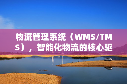 物流管理系统（WMS/TMS），智能化物流的核心驱动力