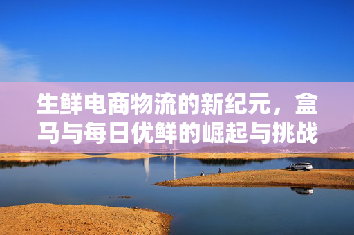 生鲜电商物流的新纪元，盒马与每日优鲜的崛起与挑战